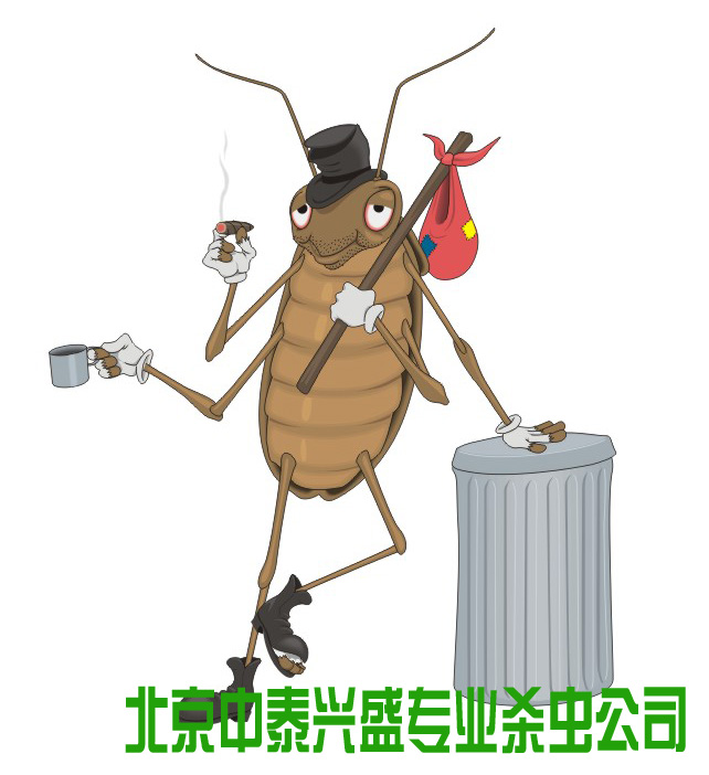 殺蟲公司 除蟲公司 滅蟲公司 中泰興盛 消殺公司 中泰興盛 殺蟲公司 除蟲公司 滅蟲公司 消殺公司